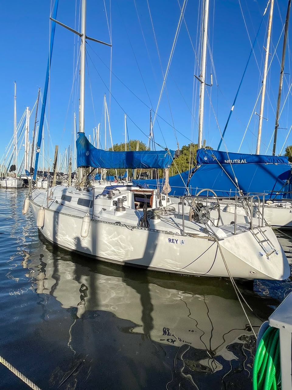 Plenamar 36’
