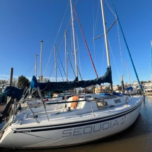 Silver 31’