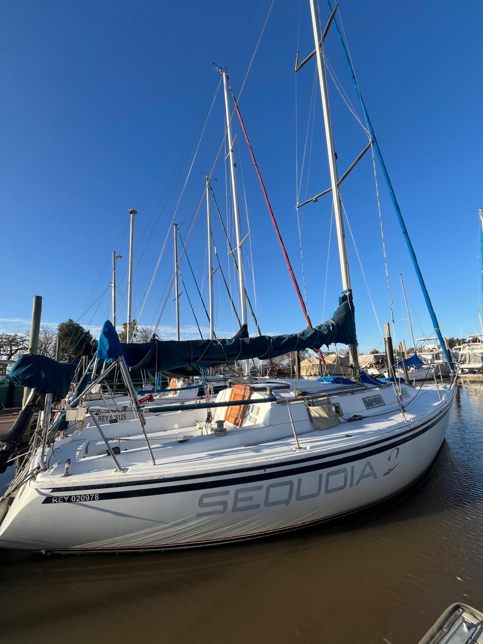 Silver 31’