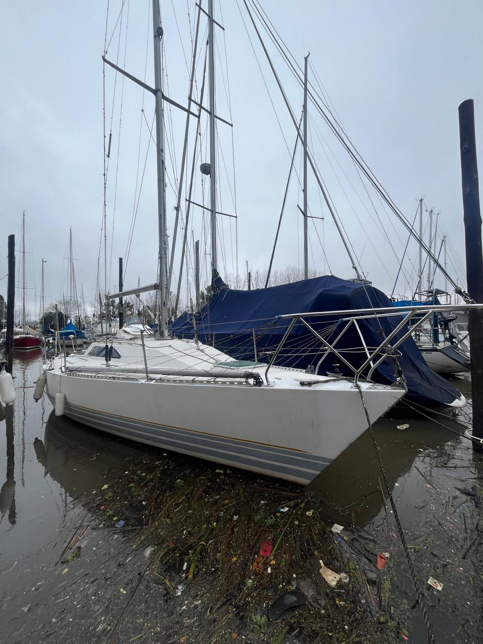 Holland 34