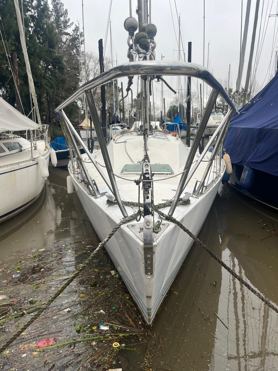 Holland 34 - Image 2