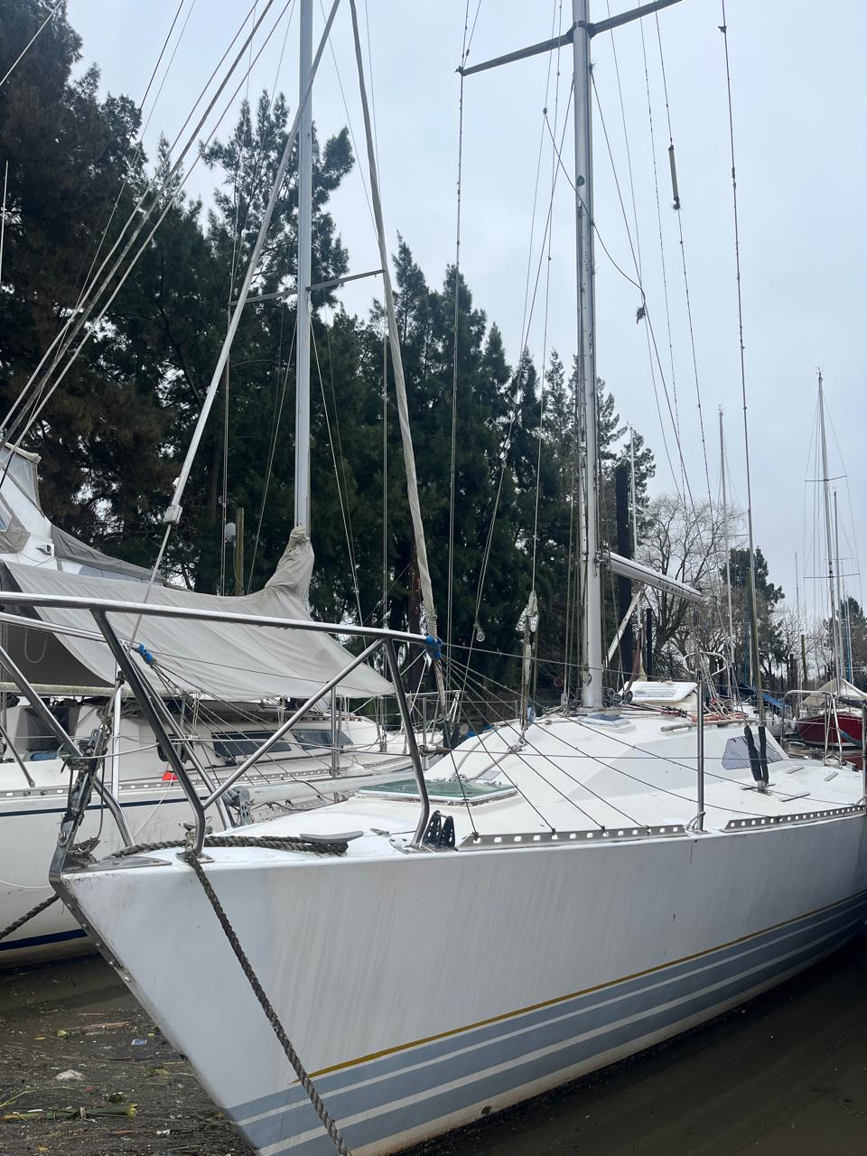 Holland 34 - Image 3