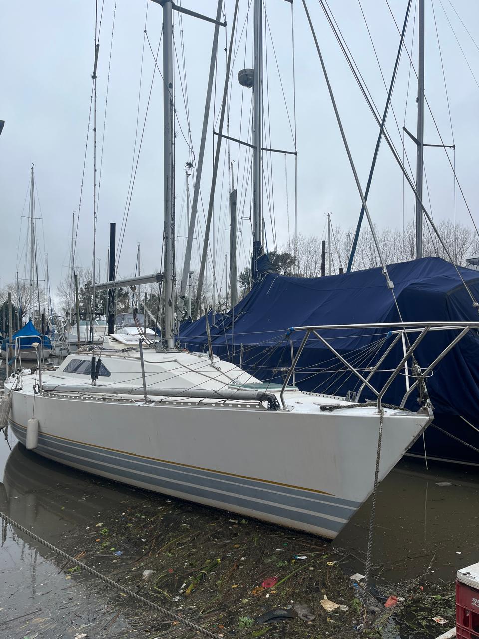 Holland 34 - Image 4