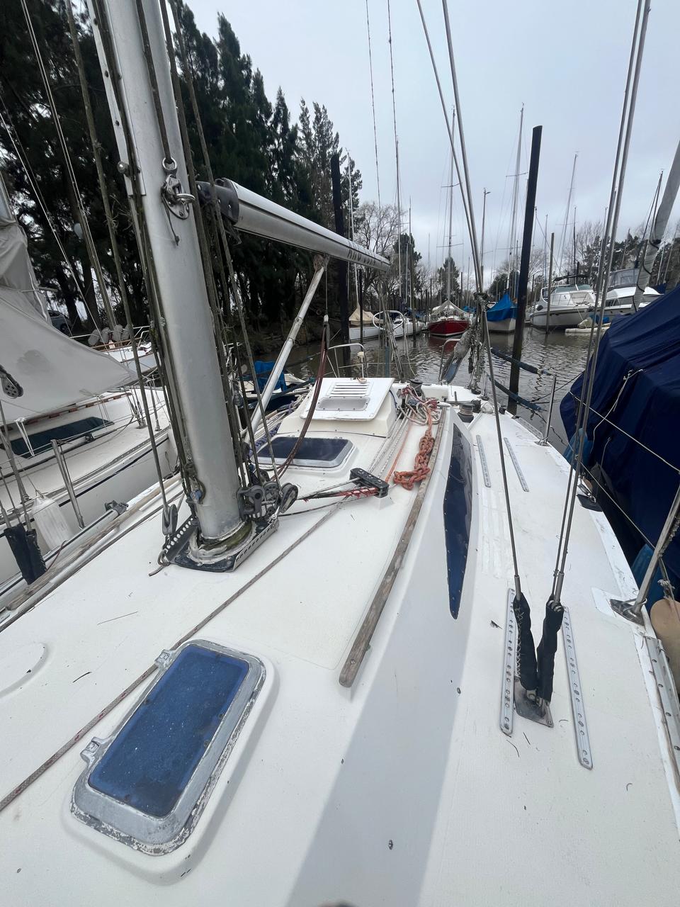 Holland 34 - Image 6