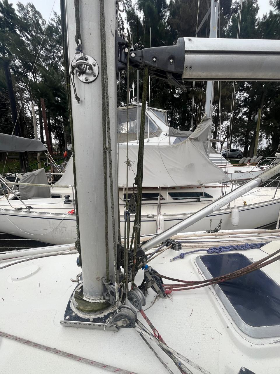 Holland 34 - Image 7
