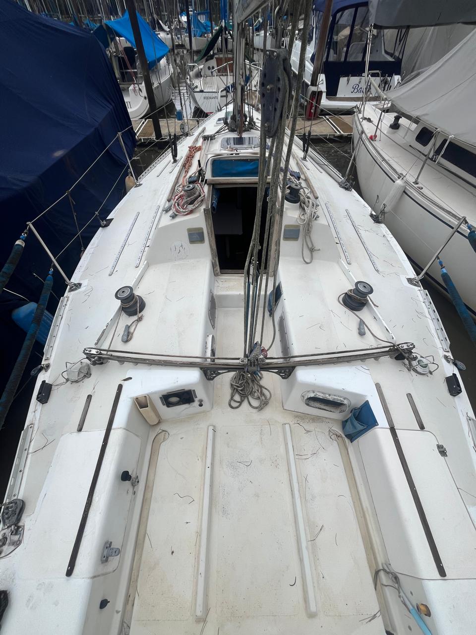 Holland 34 - Image 9