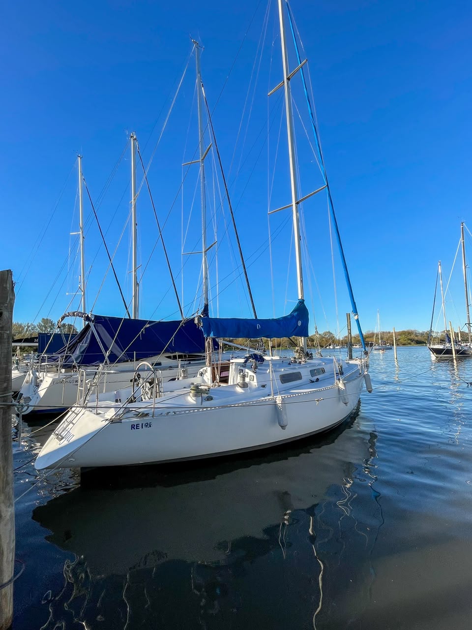 Plenamar 36’ - Image 2